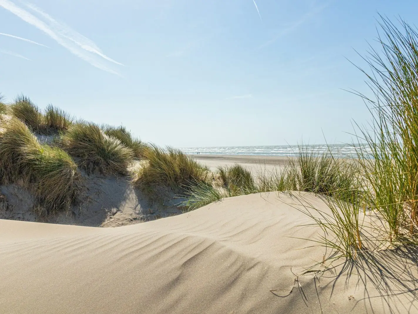 Duinen en strand aan de kust bij Koksijde